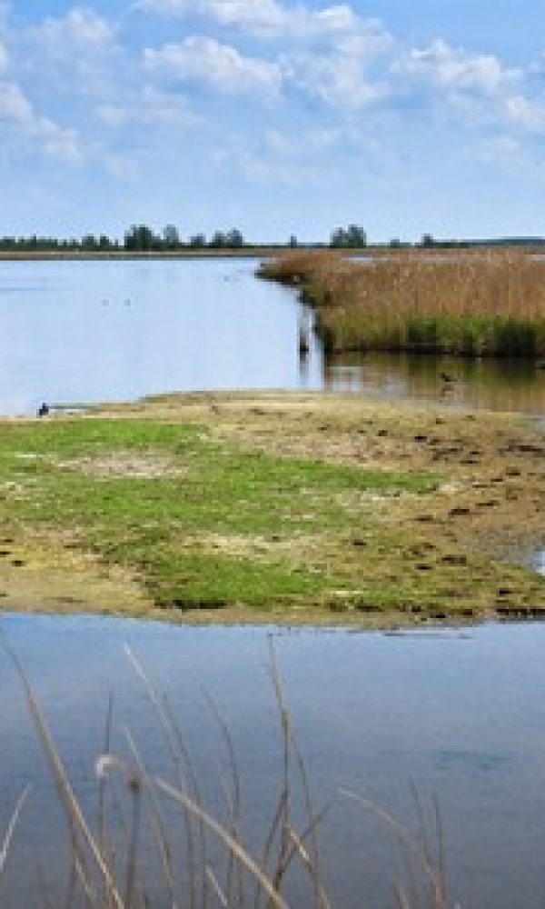 Nationaal Park Lauwersmeer