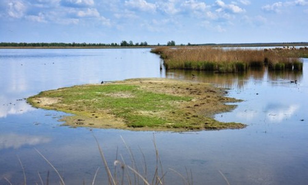 Nationaal Park Lauwersmeer