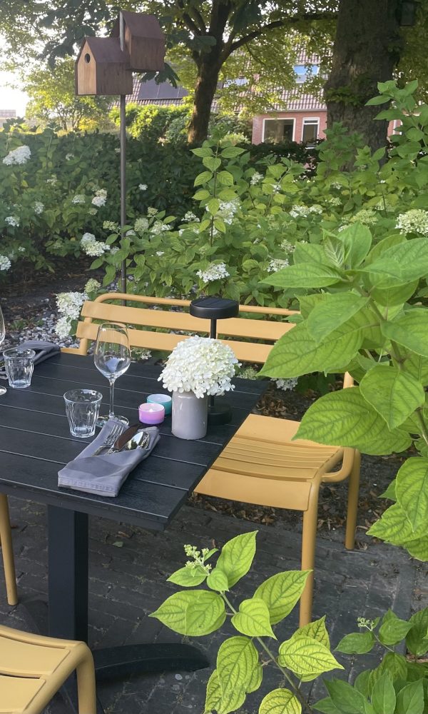 Terras diner