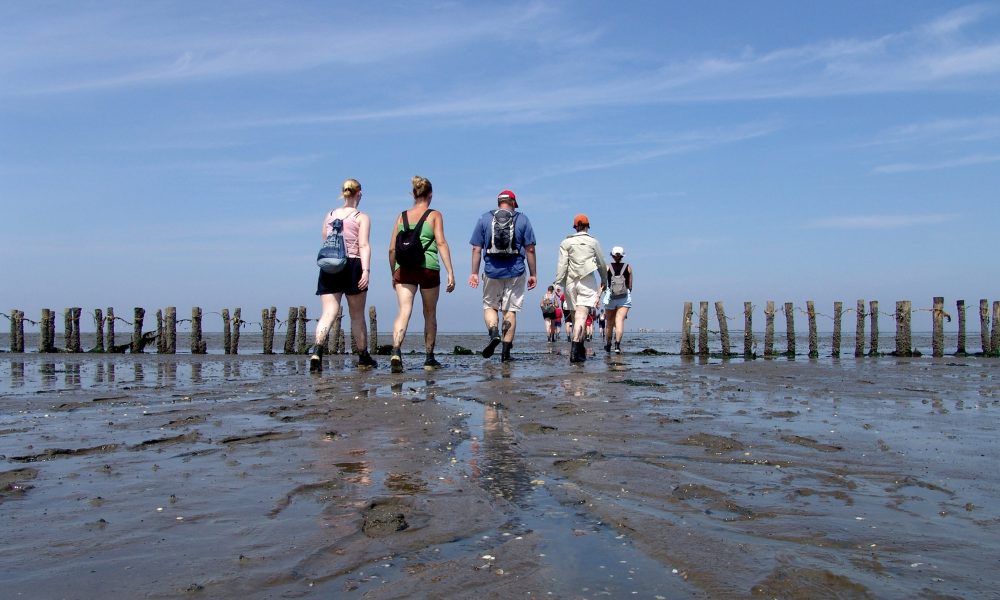 Wadlopen voor jong en oud