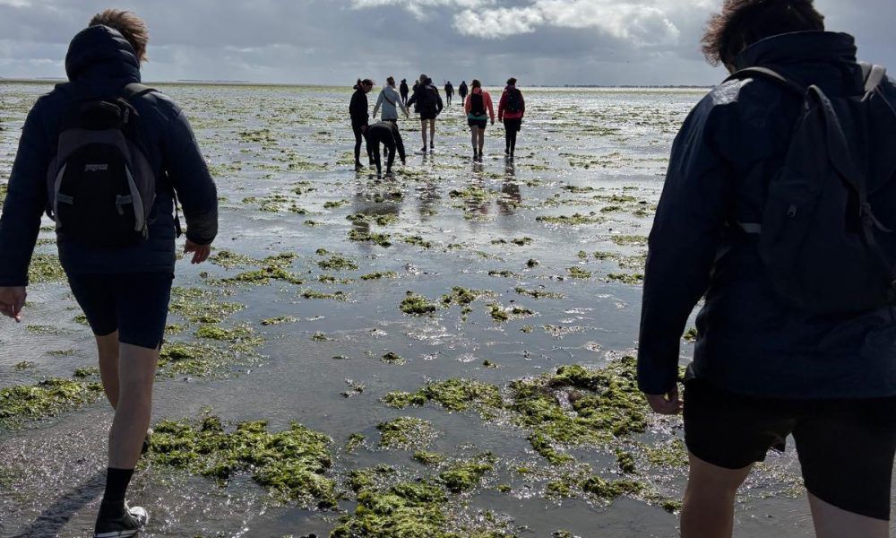 Wadlopen